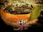 "يافا أم الغريب" يلقى صدى واسعًا في الأوساط السينمائية