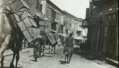 أيام نكبة| صور نادرة جدًا ليافا بين عامي 1942-1946 توثق سحر المدينة وتاريخها