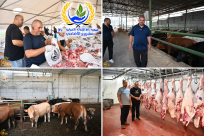 جمعية يافا: حملة جمع اشتراكات مشروع الاضاحي مستمرة حتى الأحد