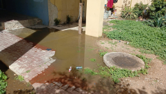 سكان شيكونات العرب بيافا يشتكون من فيضان مياه الصرف الصحي وتجاهل البلدية