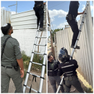 اللد: حملة للشرطة لإزالة كاميرات مراقبة نُصبت بشكل غير قانوني