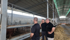 اليوم: آخر موعد للتسجيل في مشروع إحياء سنة الأضاحي بمدينة يافا