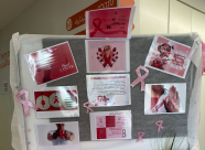 أسبوع التوعية بسرطان الثدي في المدرسة الثانوية الشاملة في يافا