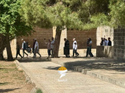 1651 مستوطناً يقتحمون المسجد الأقصى بينهم عضو كنيست