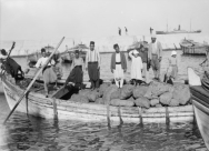 صور نادرة من ميناء يافا عام 1936 لحظة استئناف حركة البضائع بعد توقف طويل