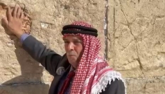 شاهد: مواطن اردني عند حائط البراق "هذه أرض إسرائيل"
