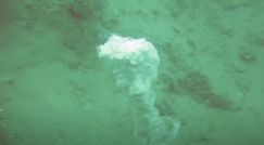  اكتشاف ظاهرة غامضة في قاع البحر الميت .. تنذر بانهيارات أرضية وشيكة 