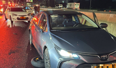 مصرع شاب اثر تعرضه لحادث دهس قرب نتانيا 