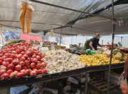 التأمين الوطني: 58% من الأسر العربية تعاني من انعدام الأمن الغذائي في البلاد