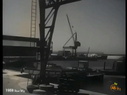 أيام نكبة| فيديو نادر جداً يوثق ميناء يافا وحياة المدينة عام 1959