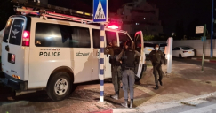 في العام 2024 - 230 ضحية بجرائم العنف وحل لغز 31 جريمة فقط