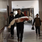 60 شهيدا و284 إصابة خلال يوم في قطاع غزة