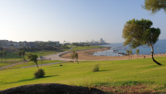 الطقس: أجواء معتدلة تميل للدفء مع نهاية الأسبوع