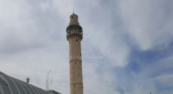 أسماء خطباء المساجد ليوم الجمعة في كل من يافا اللد والرملة