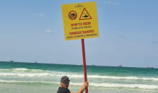 بعد تأكيد مشاهدة سمكة القرش.. بلدية أشدود تعلن رسميا عن اغلاق كل شواطئ المدينة 