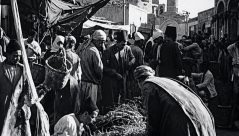 أيام نكبة| فيديو نادر يوثق أسواق يافا عام 1936