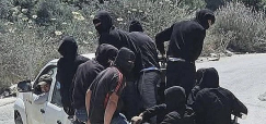 الضفة تحترق.. المستوطنون وراء 799 حريقًا