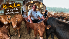 جمعية يافا تعلن عن تفاصيل مشروع الاضاحي لهذا العام .. سارعوا بالاشتراك 
