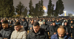 85 ألف مصل أدوا صلاتي العشاء والتراويح في اليوم السابع من شهر رمضان المبارك في رحاب المسجد الأقصى
