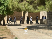 تحذيرات من تحريض جماعات استيطانية على نسف الأقصى