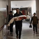 81 شهيدًا و422 إصابة بعدوان الاحتلال على غزة في 24 ساعة