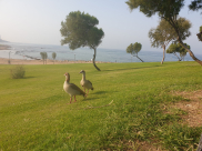 حالة الطقس: أجواء مشمسة ويطرأ ارتفاع طفيف على درجات الحرارة