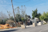 خطوة غير مسبوقة في اللد: الشرطة تُغلق أحياء عربية بحواجز إسمنتية وجمعية حقوق المواطن تطالب بإزالتها فورًا