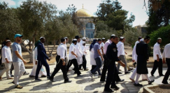 نحو 200 مستوطن اقتحموا المسجد الأقصى المبارك والمنطقة المحيطة به