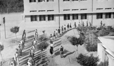 يافا: صورة نادرة توثّق طابور الصباح في مدرسة العامرية عام 1947