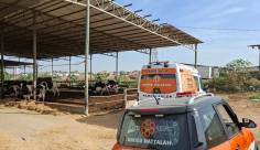 إصابة عامل بجروح متوسطة بعد سقوطه من سطح حظيرة في اللد