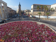 حالة الطقس: انخفاض طفيف في درجات الحرارة