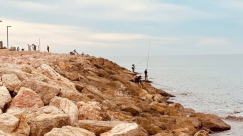 الطقس: أجواء باردة وأمطار خفيفة ومتفرقة